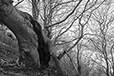 Against the Elements 4